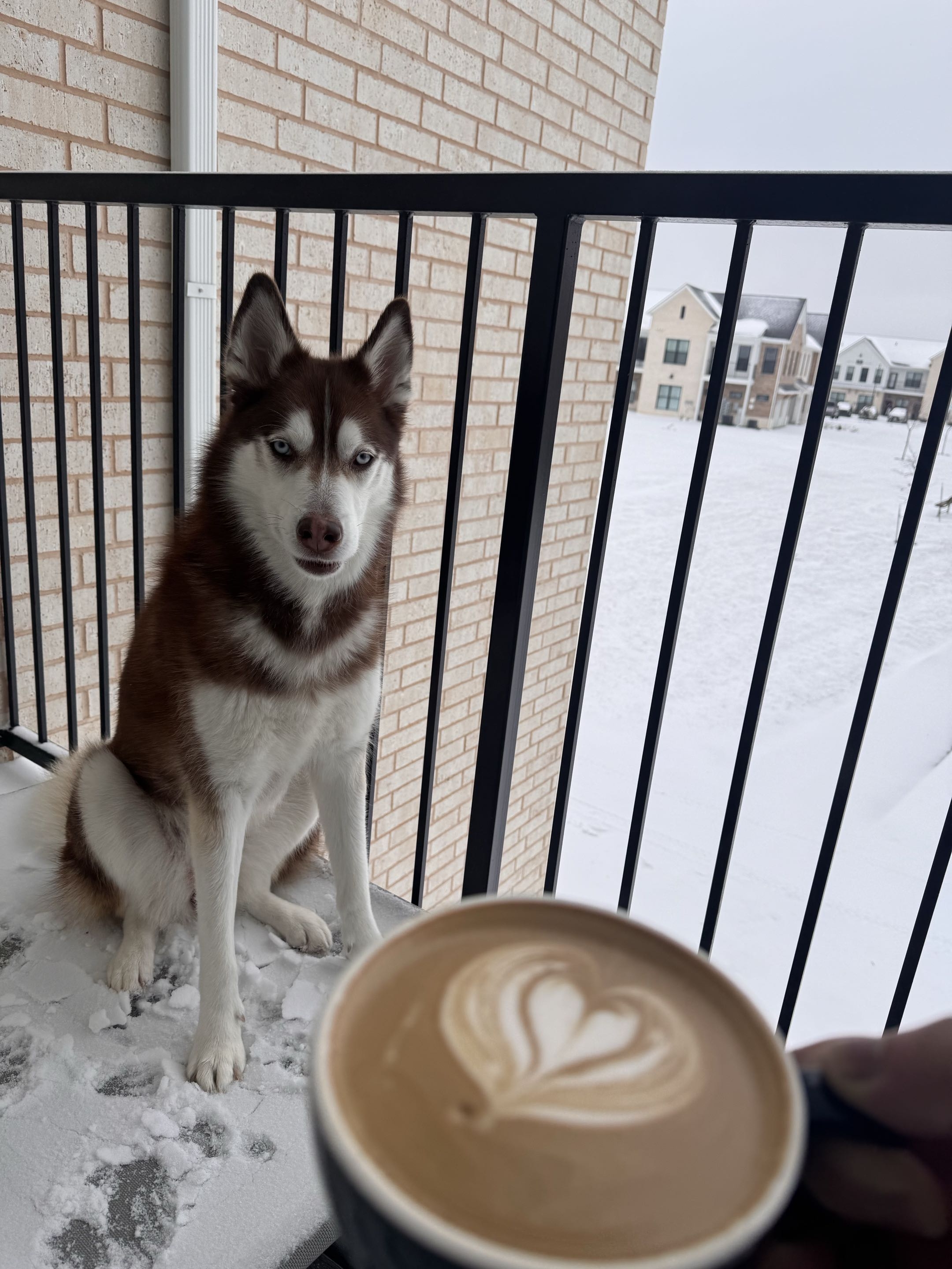 Hazul and coffee